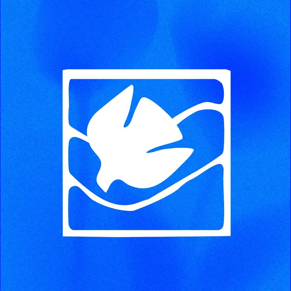 Group avatar for CCEG YA