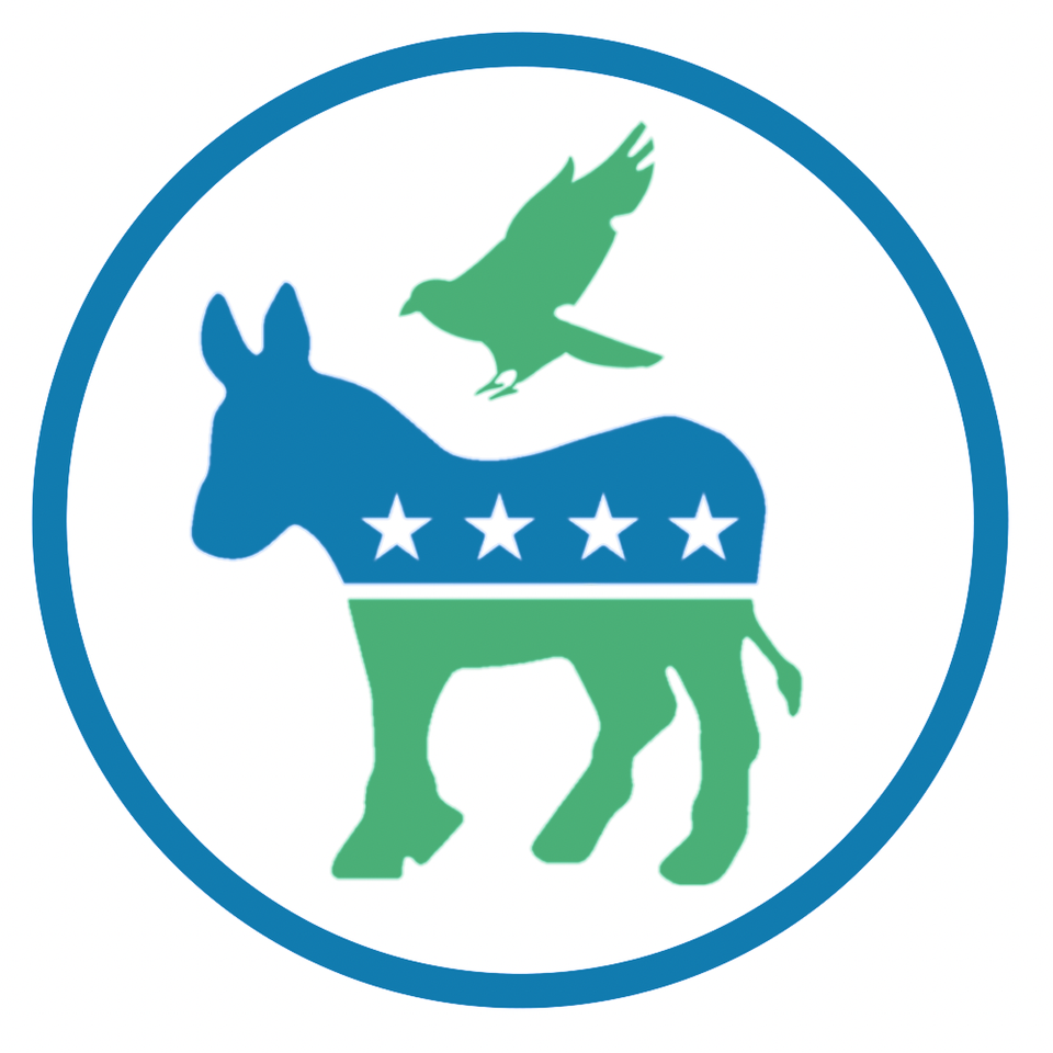 Group avatar for UNT College Democrats