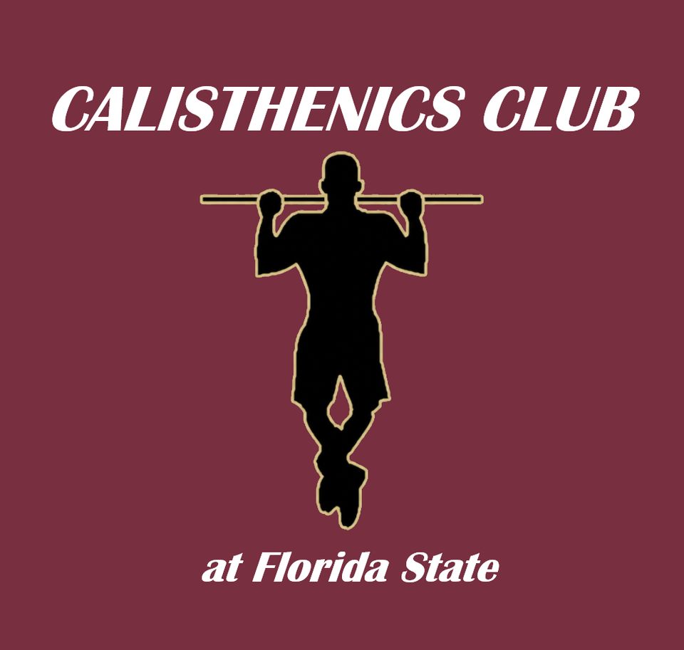 Group avatar for Calisthenics Club at Florida State (CCFS)