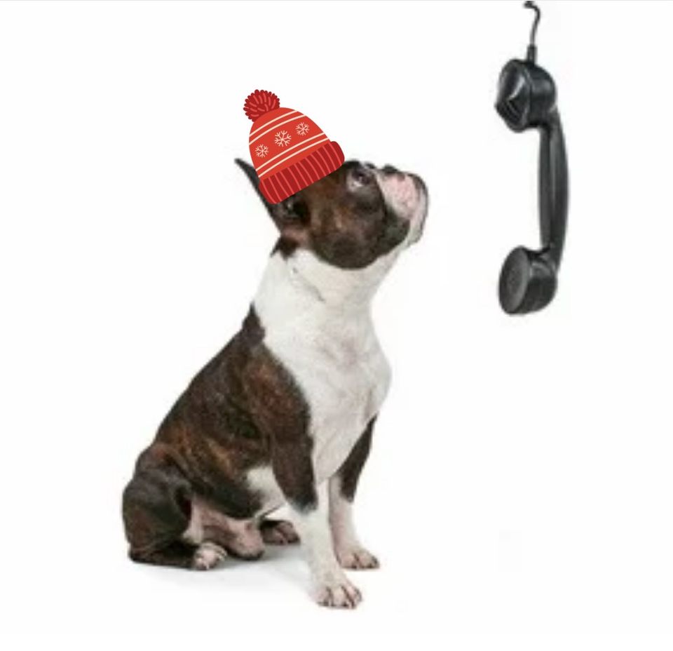 Group avatar for BU LAW Chatter 🐾