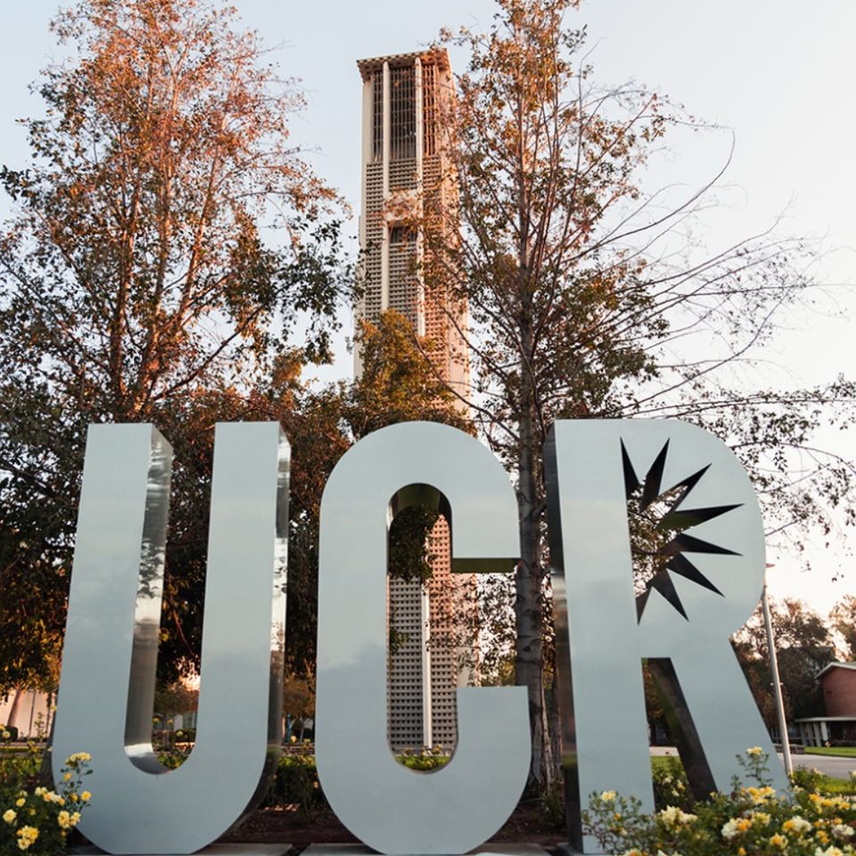 Group avatar for Music Graduates