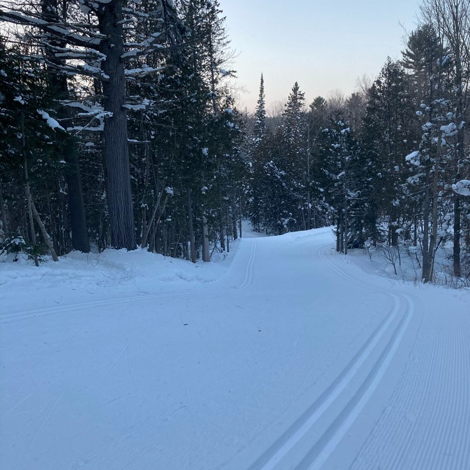 Group avatar for MTU Nordic Ski Club