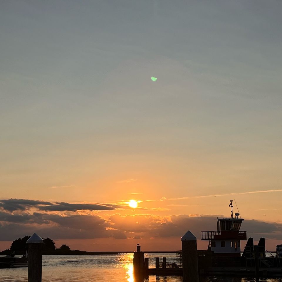 Group avatar for COG Young Adults Group