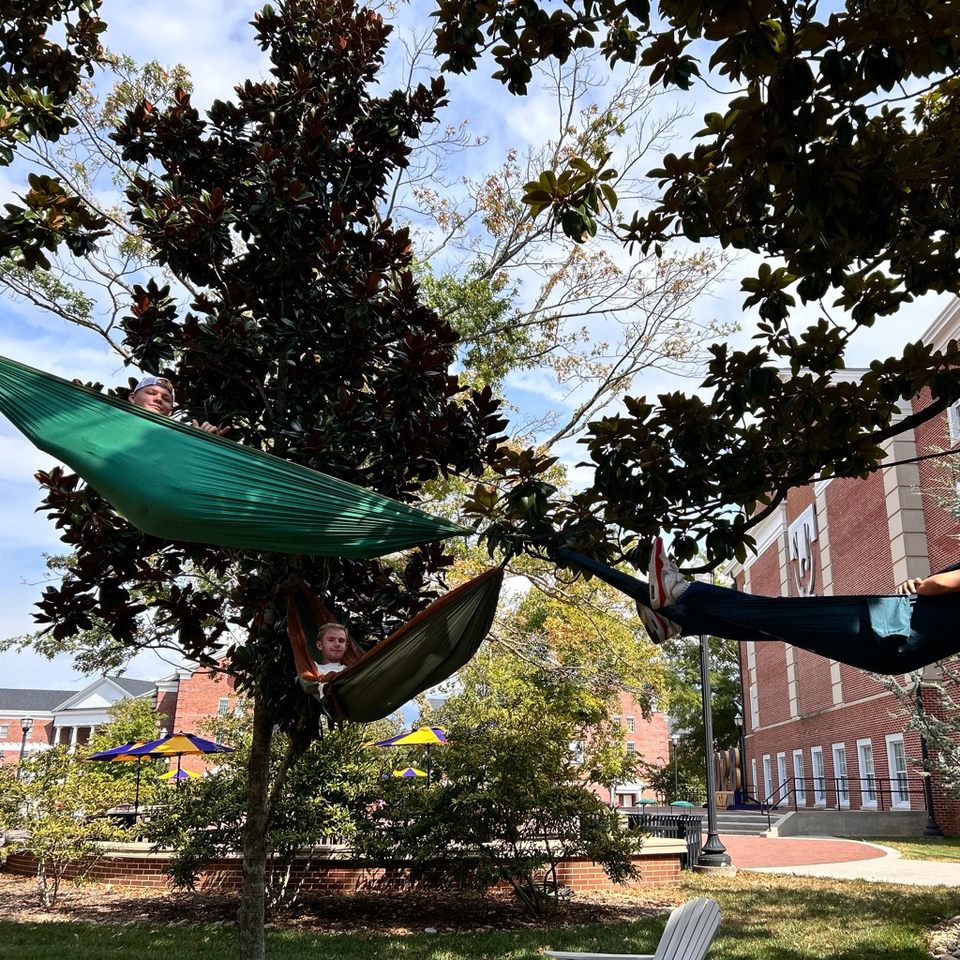 Group avatar for HAMMOCK BROS.