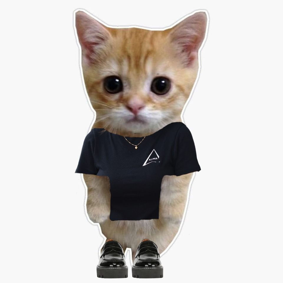 Group avatar for ALPFA Social Chat
