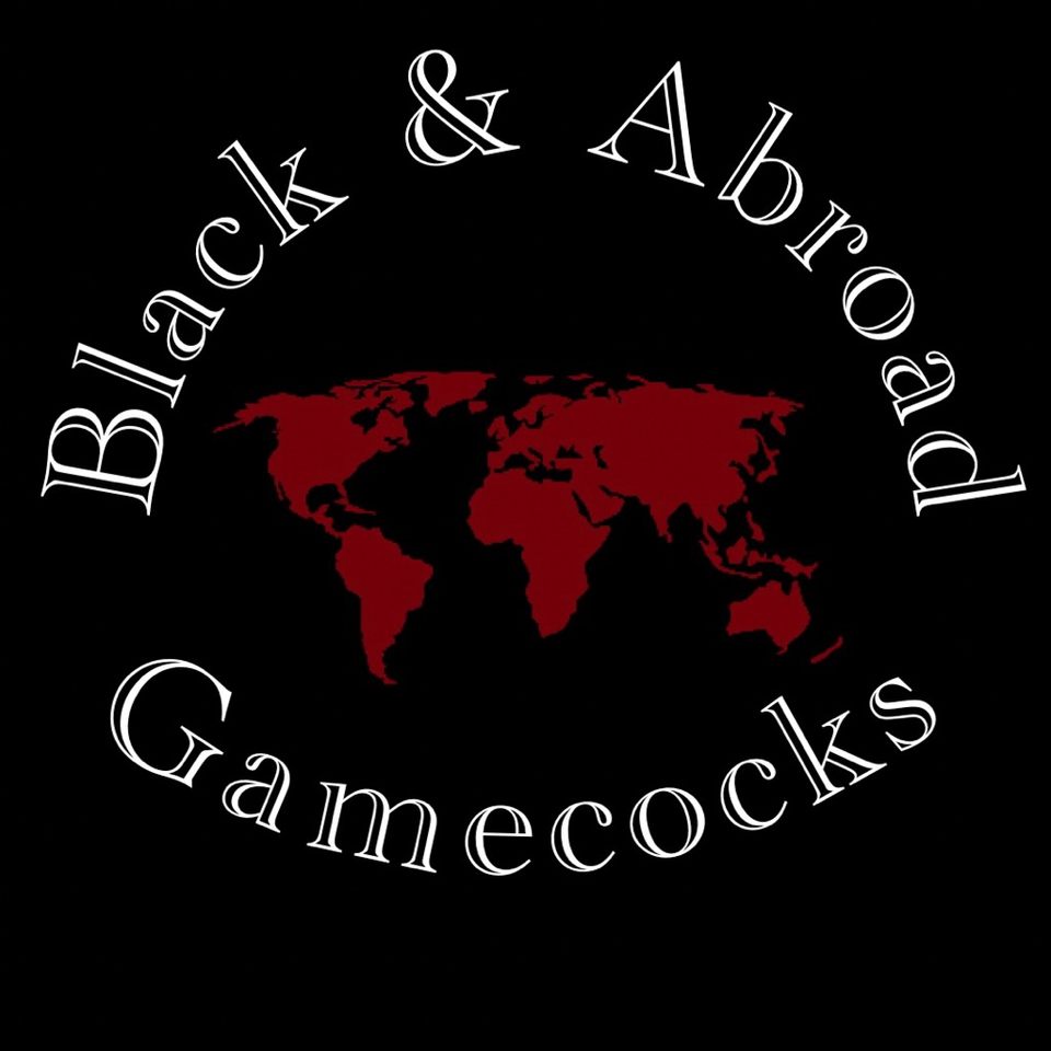 Group avatar for 2023-2024 Black and Abroad Gamecocks