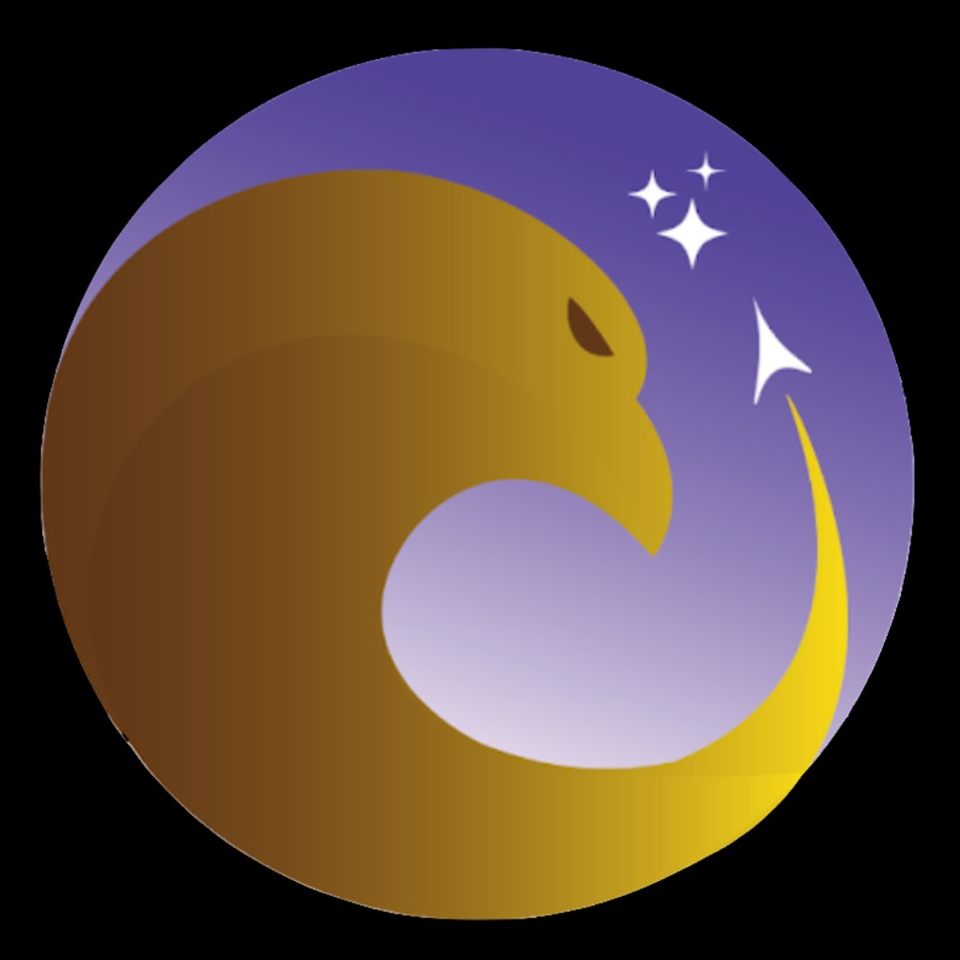 Group avatar for 🛰️Lehigh University Space Initiative🚀