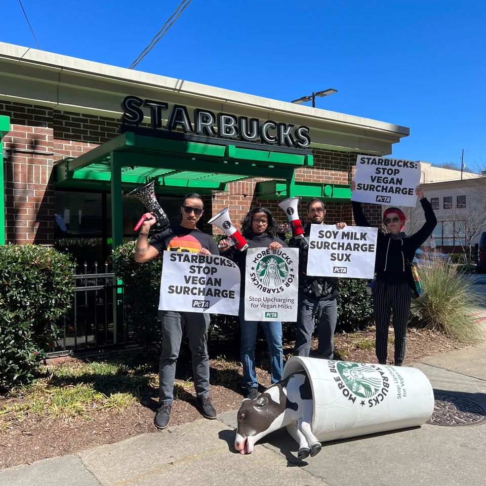 Group avatar for Veggie Jackets Activism