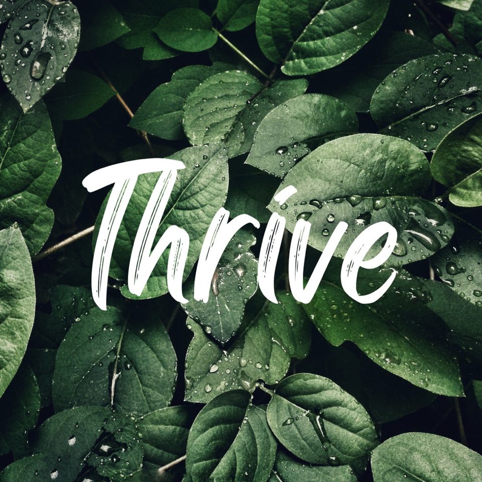 Group avatar for Thrive @ Salisbury