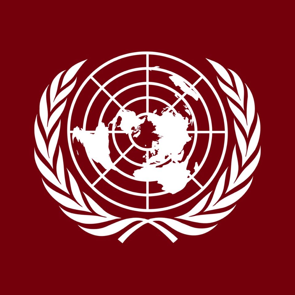 Group avatar for Carolina Model UN
