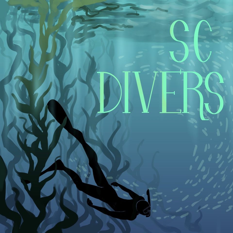 Group avatar for SC Divers