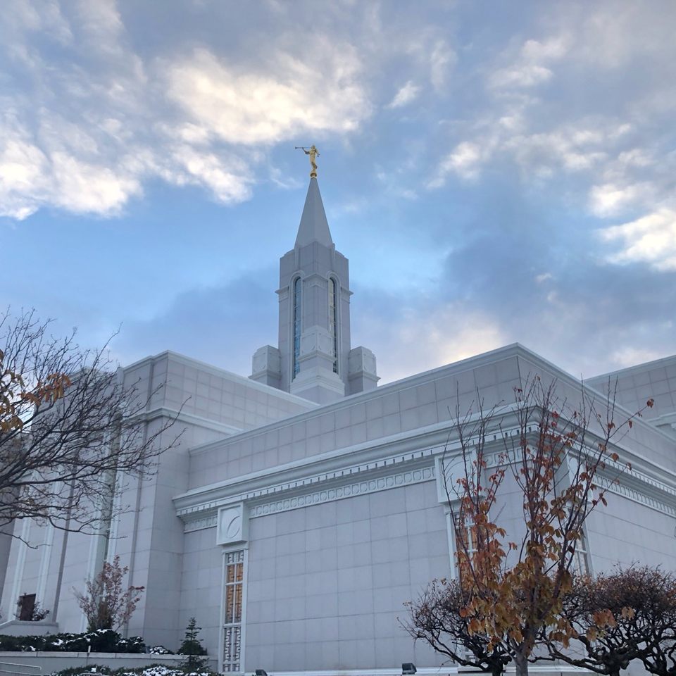 Group avatar for Bountiful YSA Announcements