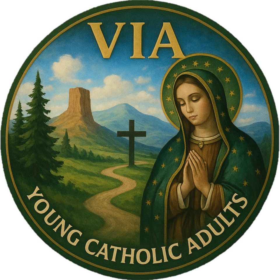 Group avatar for VIA