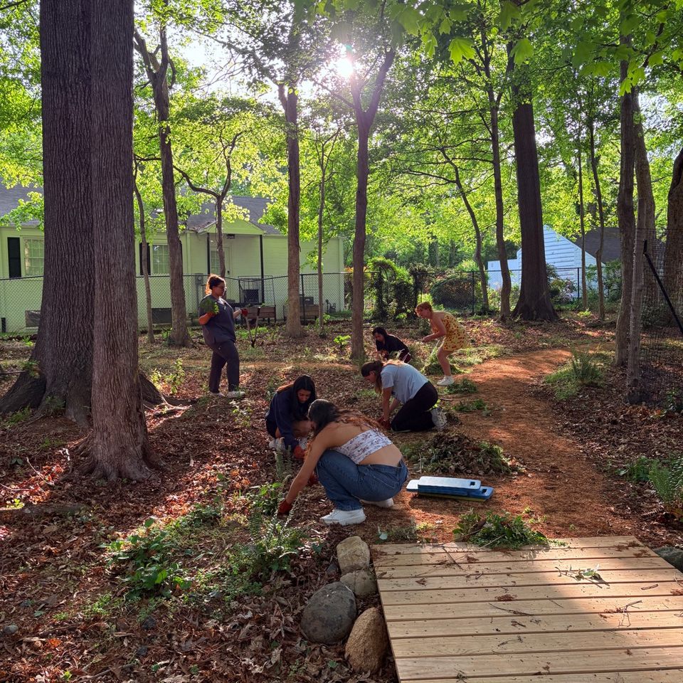 Group avatar for AICG Volunteers