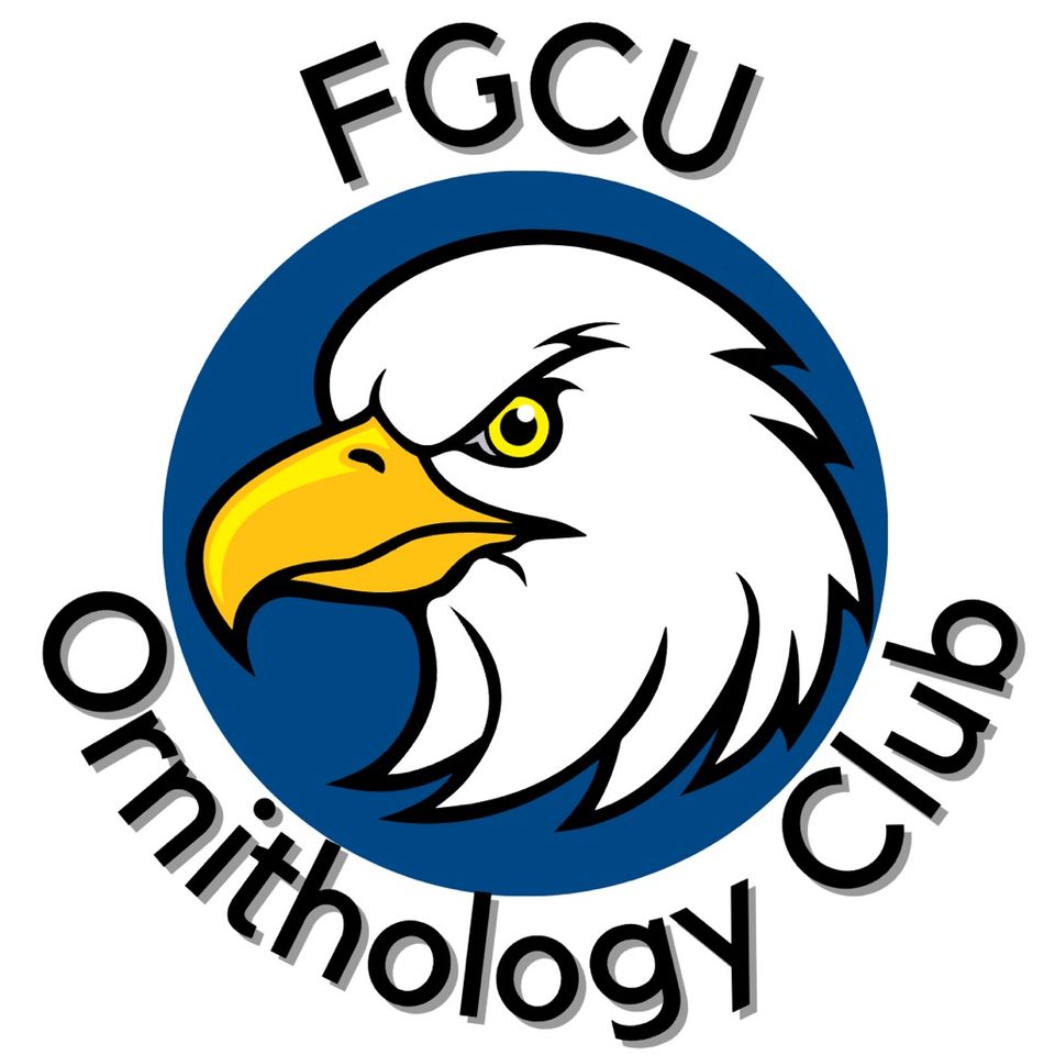 Group avatar for FGCU Ornithology Club