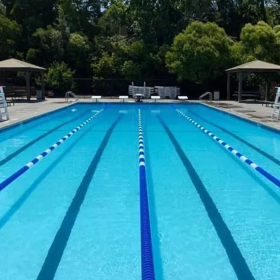 Group avatar for Southampton Swim Club