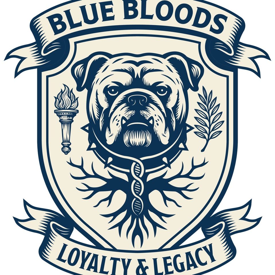 Group avatar for Blue Bloods