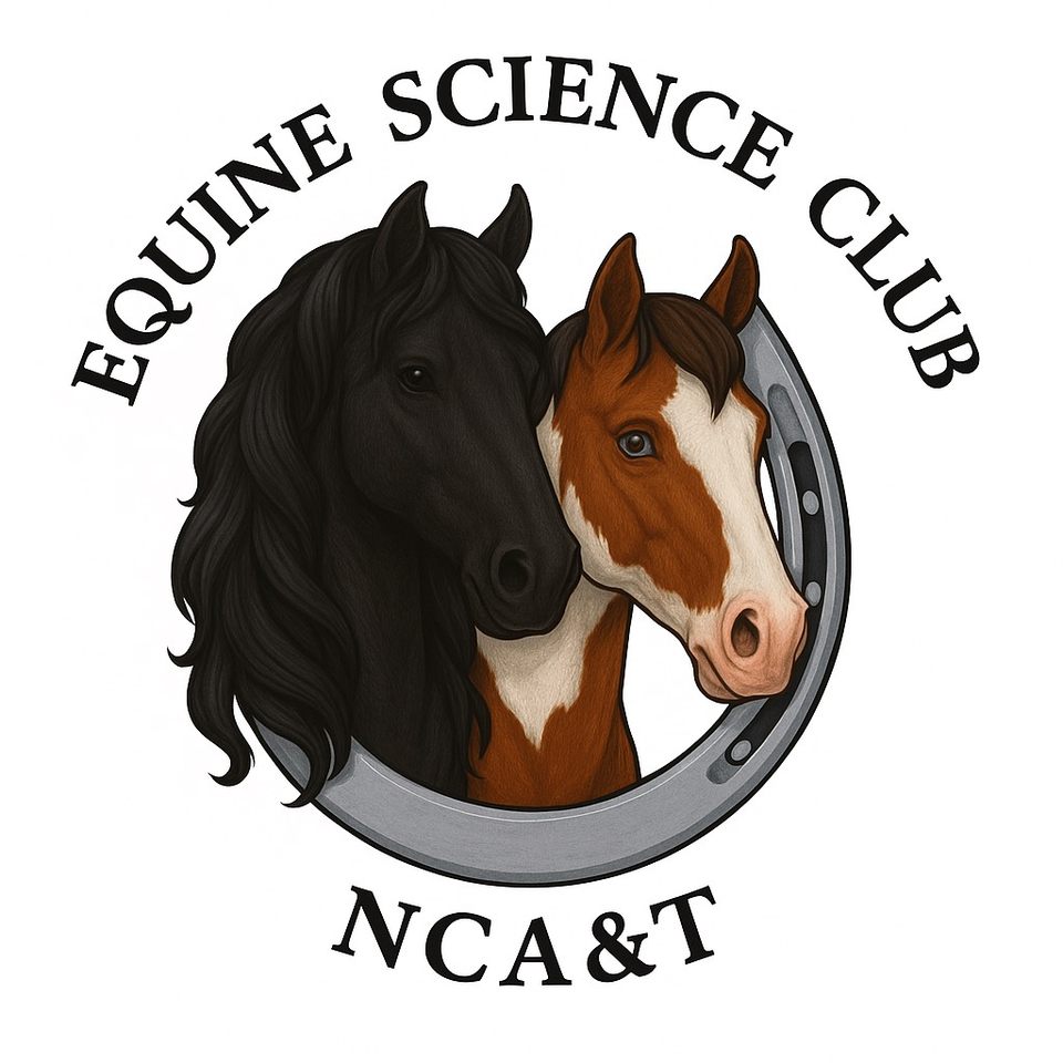 Group avatar for Equine Science Club ‘25-‘26