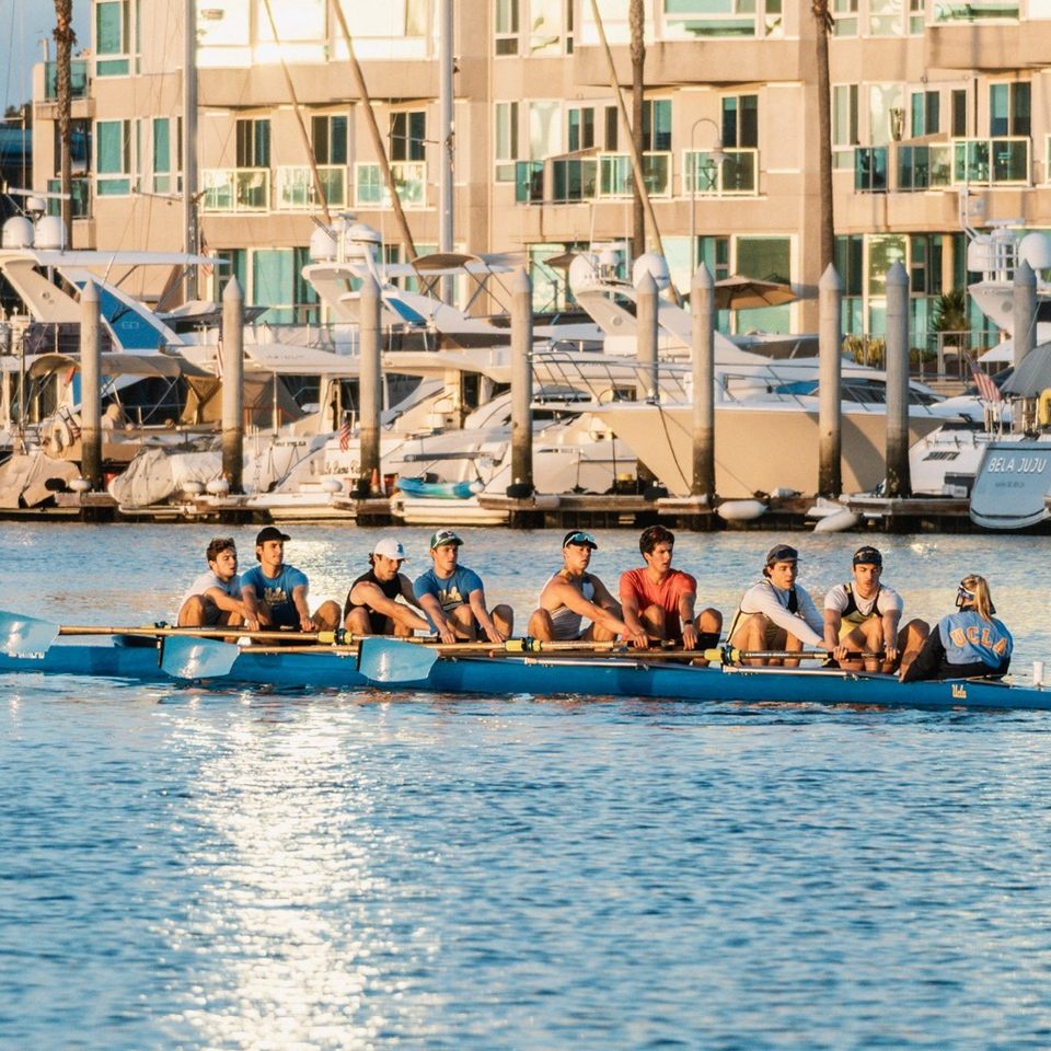 Group avatar for Rowing Novices 2025/26