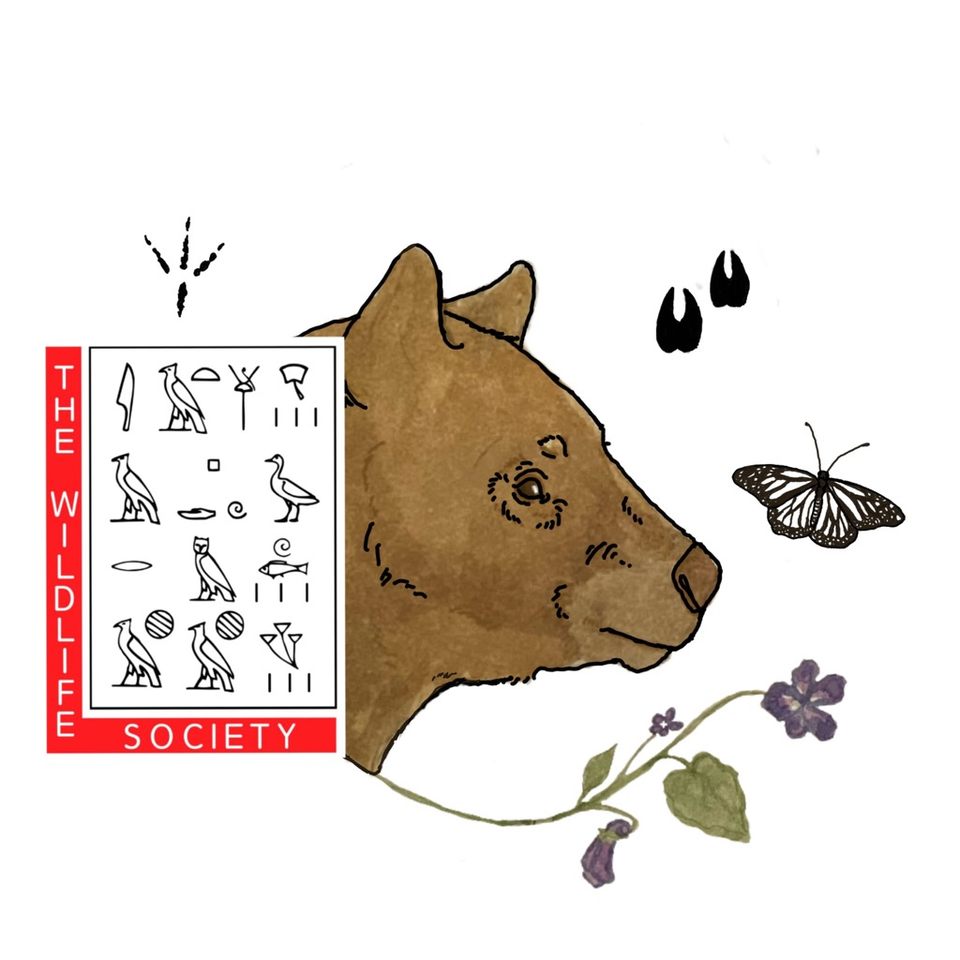 Group avatar for TWS Student Chapter at EIU