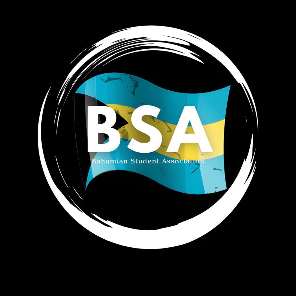 Group avatar for BSA Official