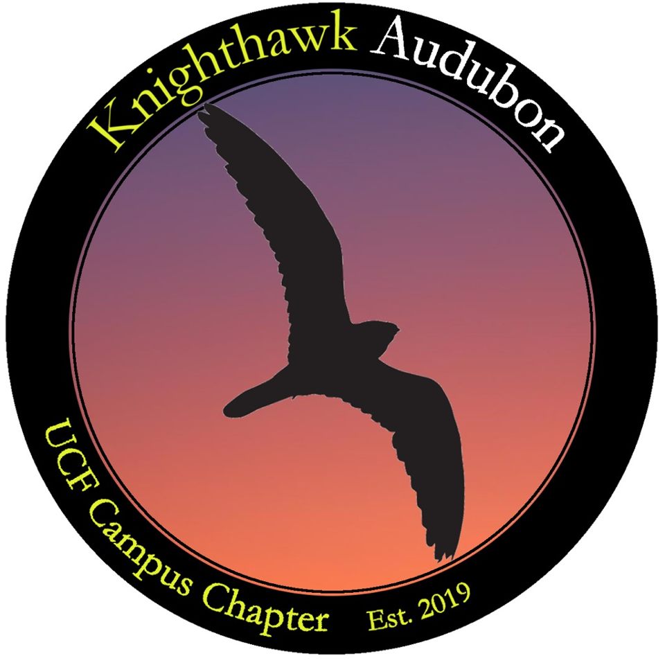 Group avatar for Knighthawk Audubon