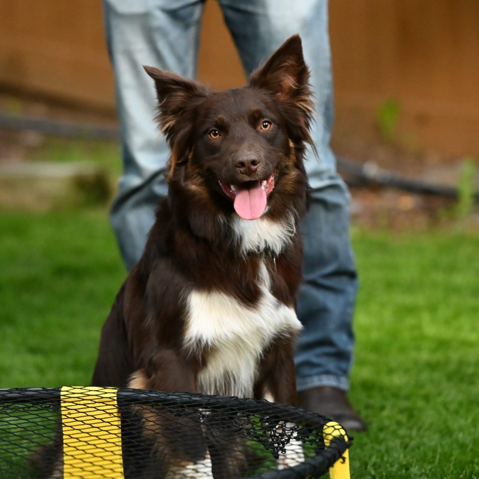 Group avatar for The Table (PWC Young Professionals)
