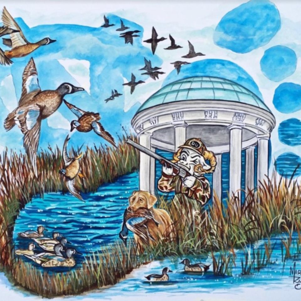 Group avatar for TARHEEL DU announcements