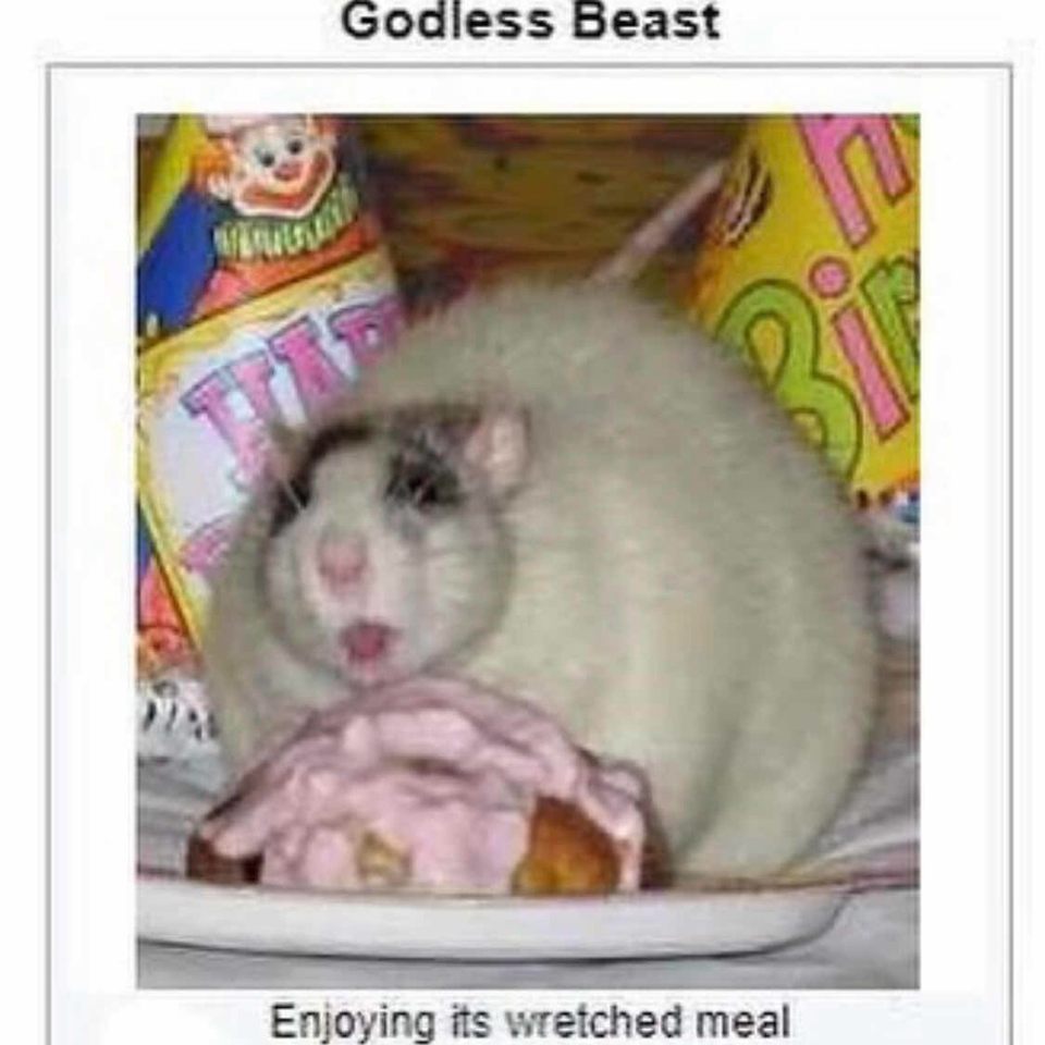 Group avatar for Video Game Development Club