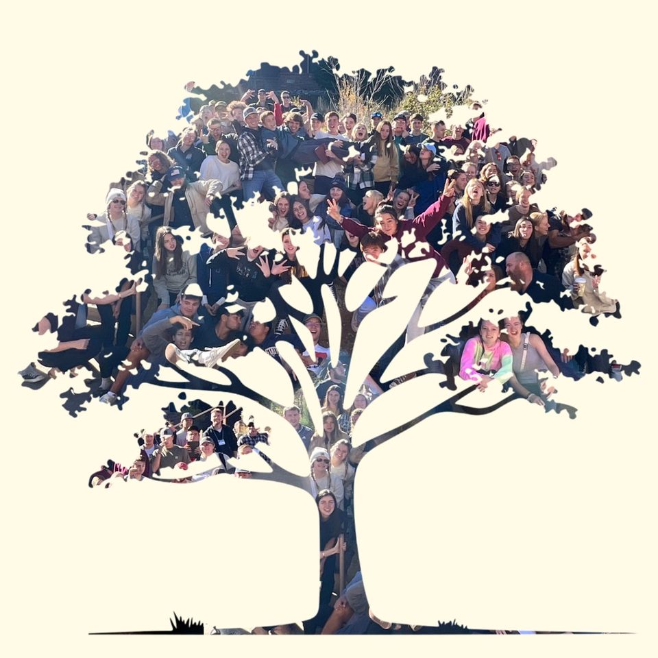 Group avatar for Oak Folks