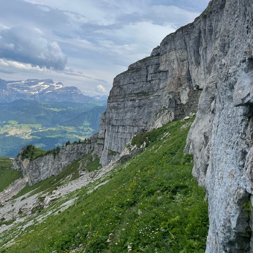 Group avatar for ORGT Rocks for Jocks 2026