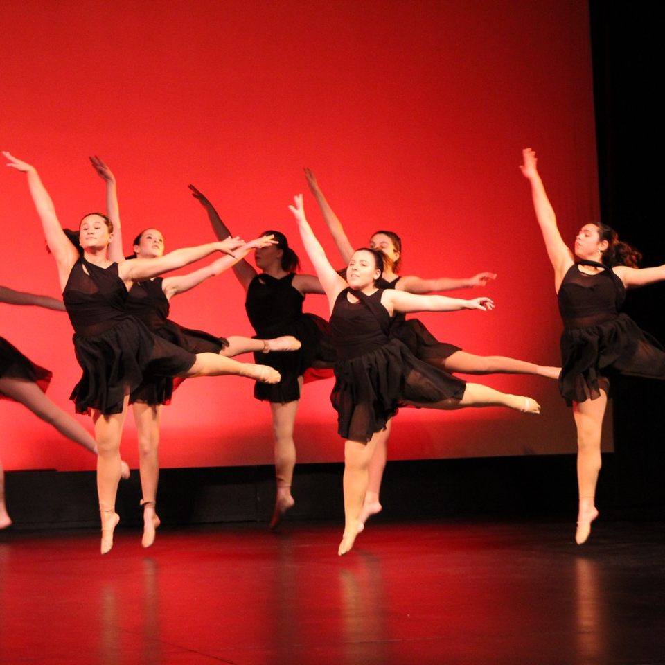 Group avatar for dance co ‘24-‘25