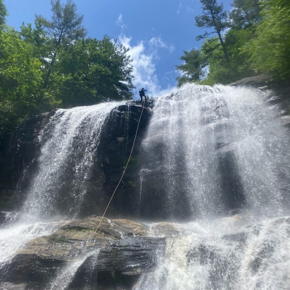 Group avatar for Cascadoodlers Spring 2025