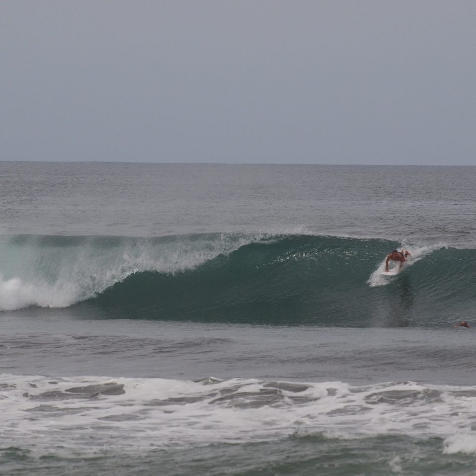 Group avatar for USF Surf Club 2024