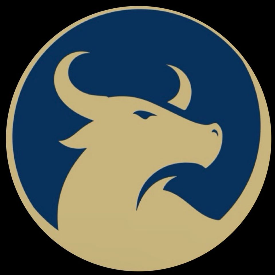 Group avatar for OneUSF College Dems