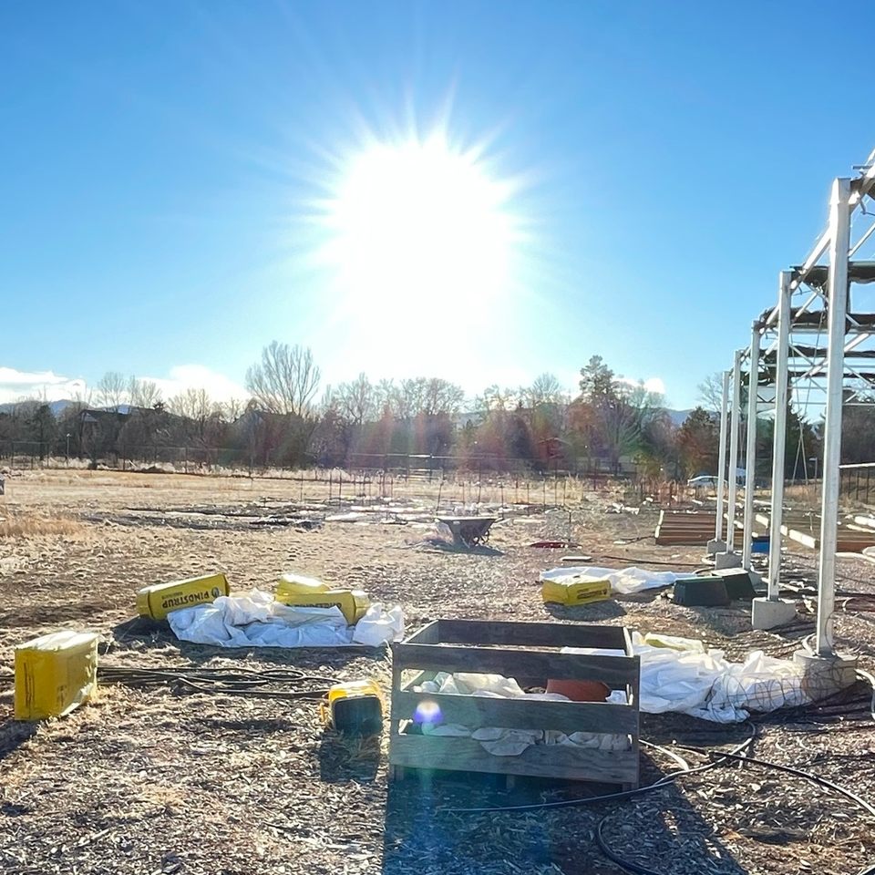 Group avatar for Community Garden and Plant Club