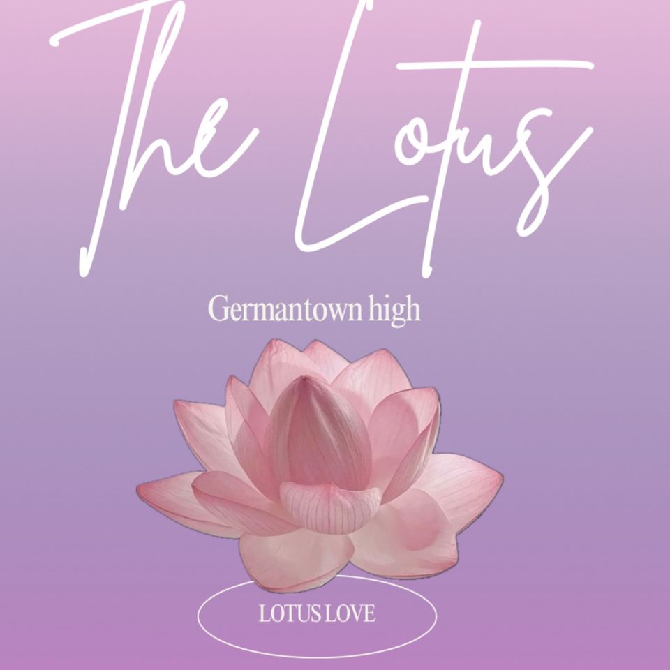 Group avatar for Lotus 🪷 Love