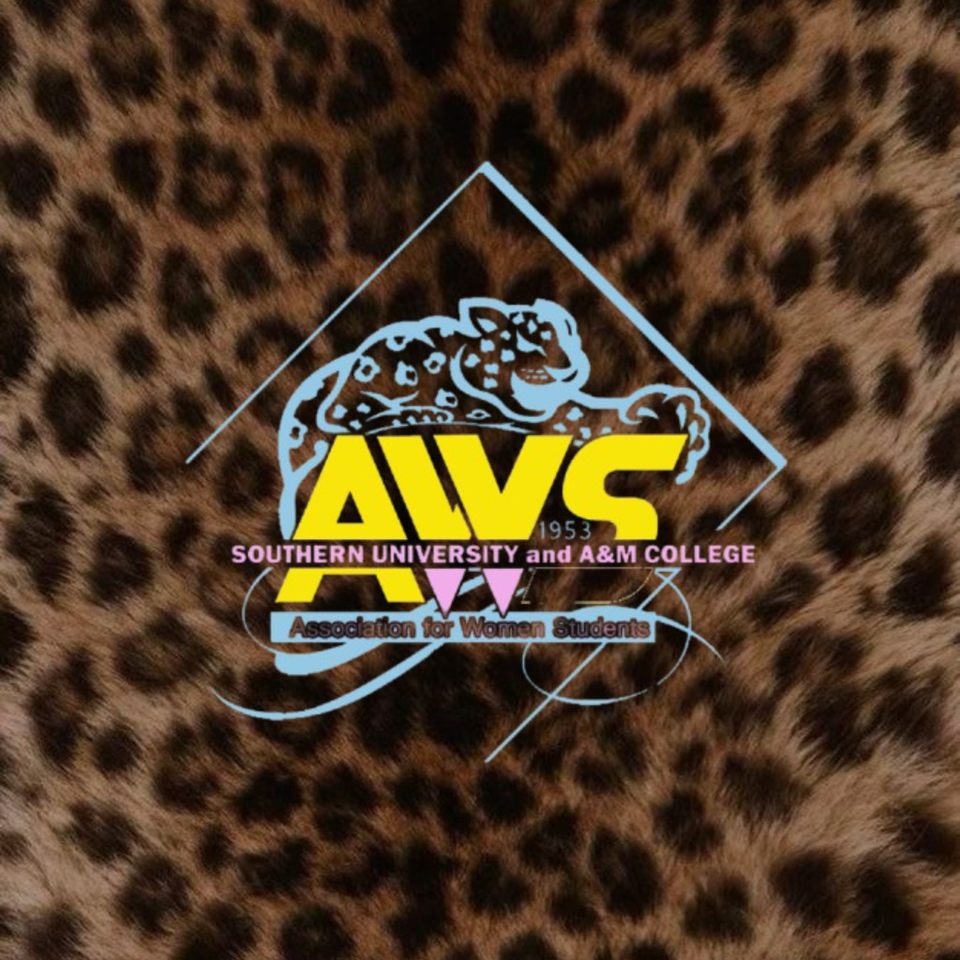 Group avatar for AWS General Body💗