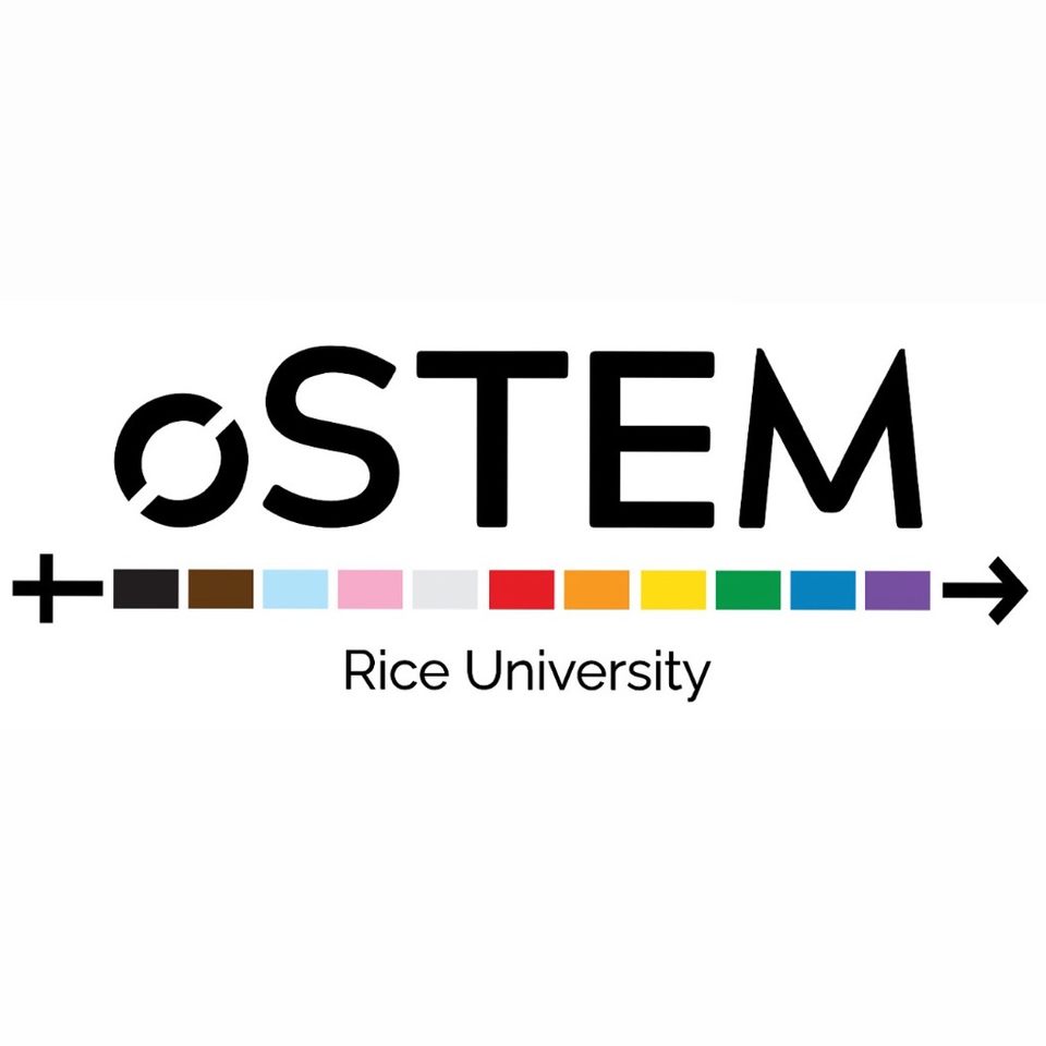 Group avatar for Rice Out in STEM