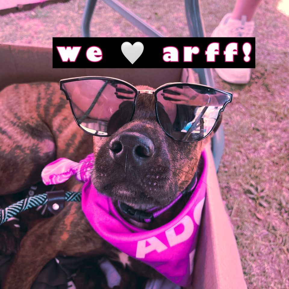 Group avatar for ARFF Volunteers 🐾
