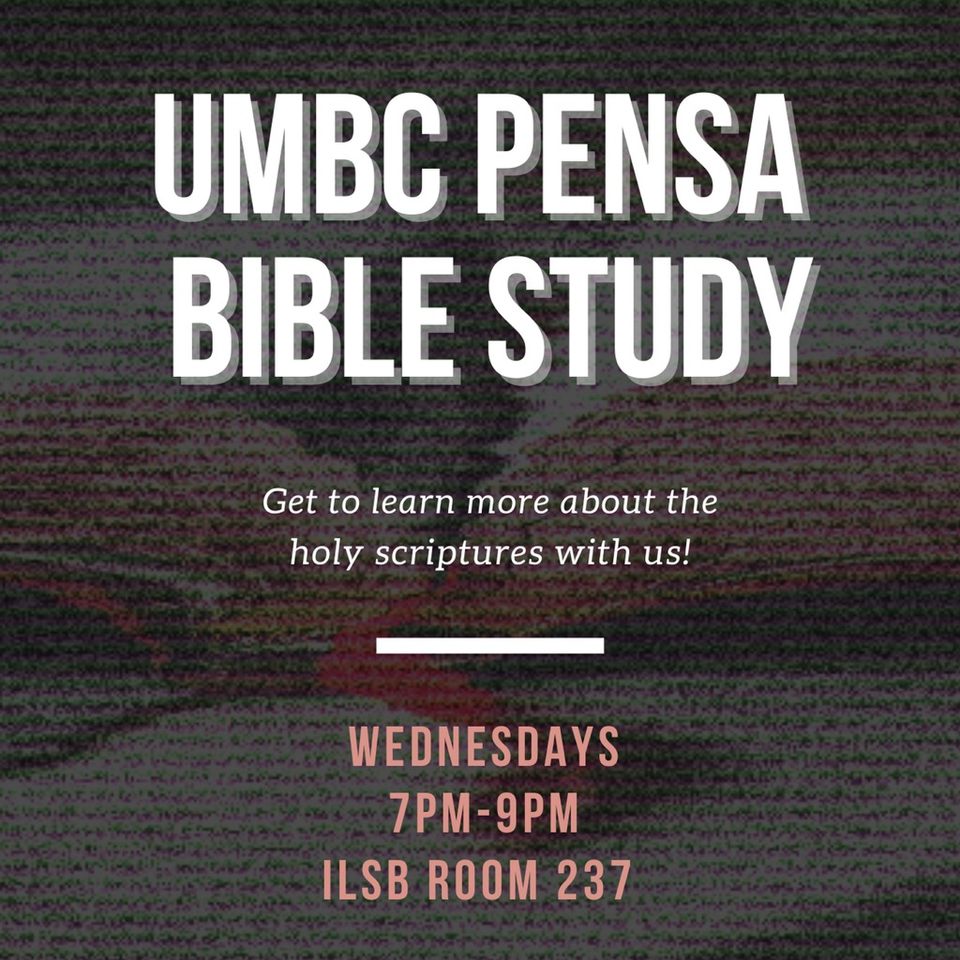 Group avatar for UMBC PENSA
