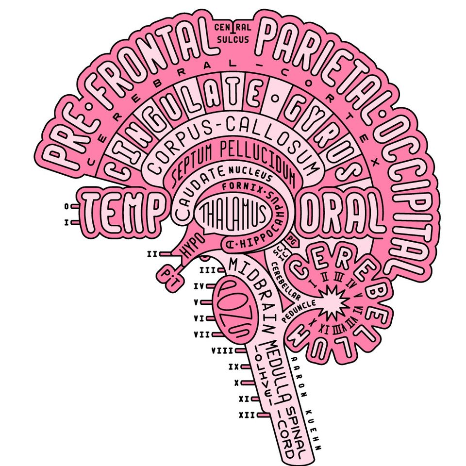 Group avatar for RU BRAIN 2023-2024