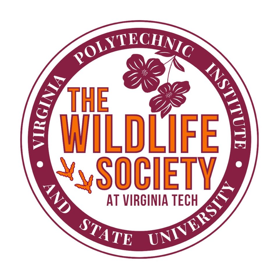Group avatar for VTTWS 2025-2026