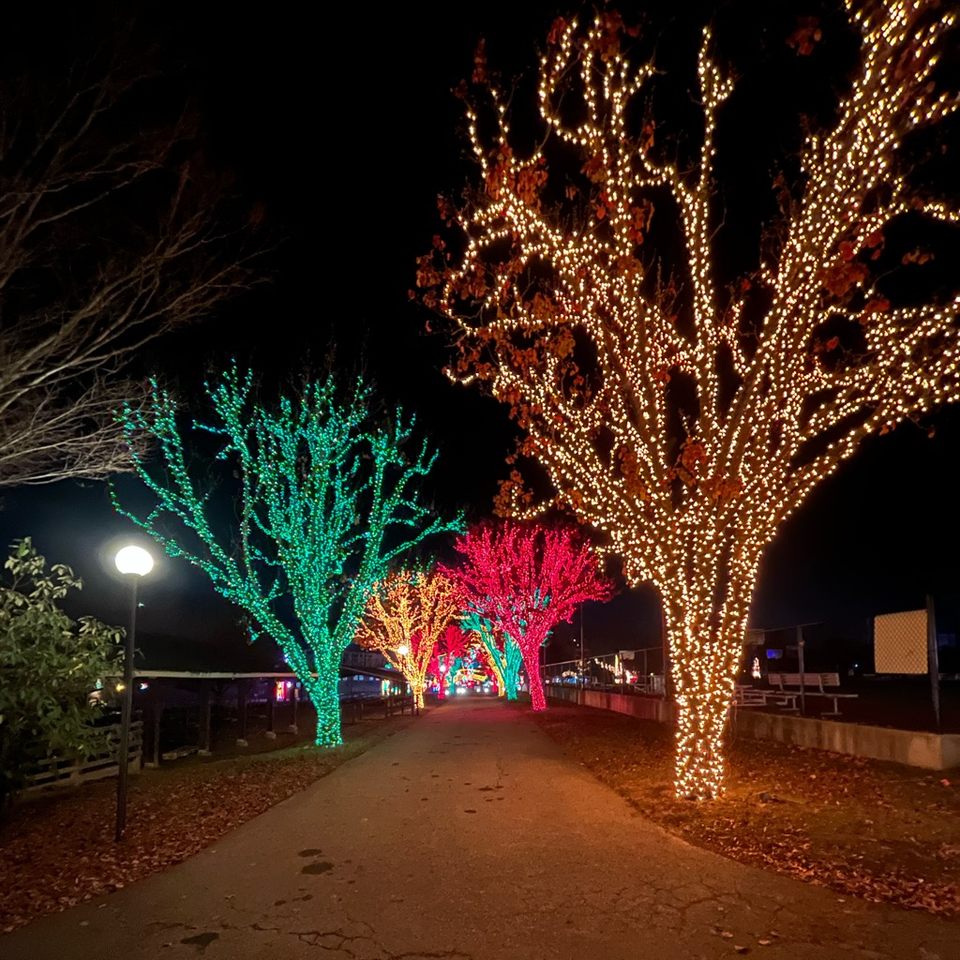 Group avatar for Holiday Lights 25-26