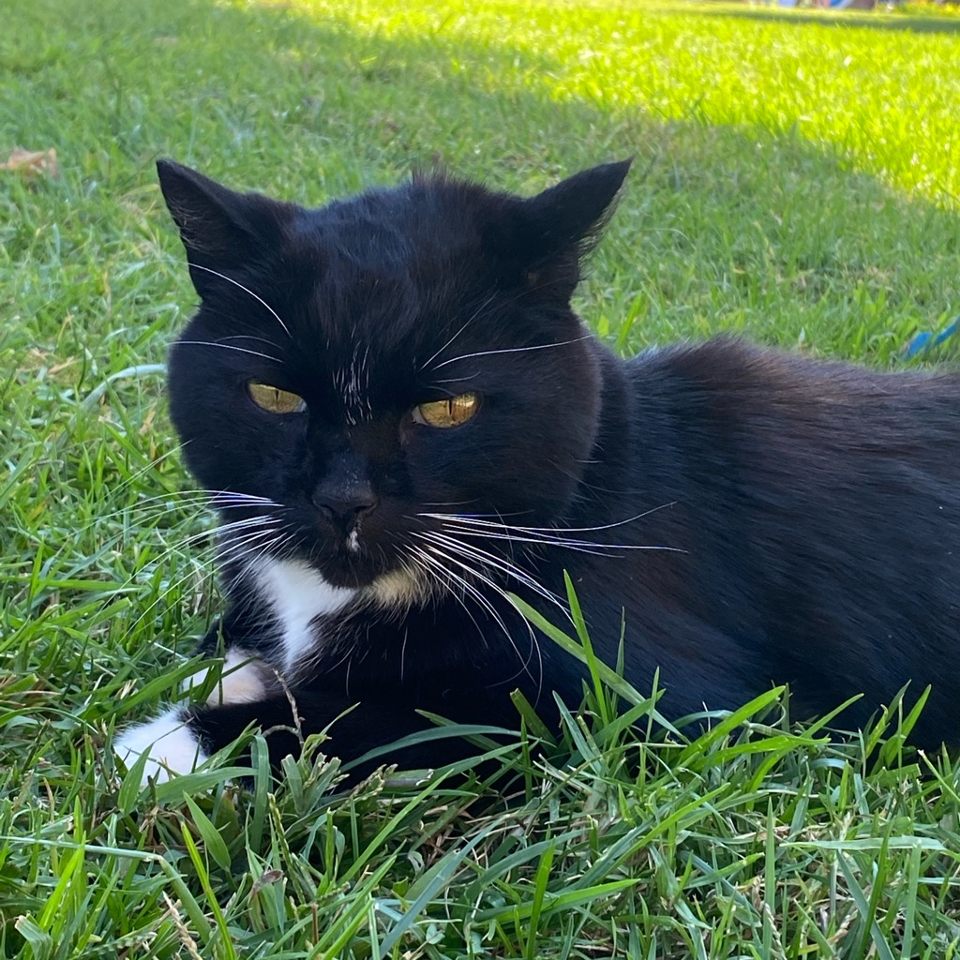 Group avatar for Stats 13 with Zanontian