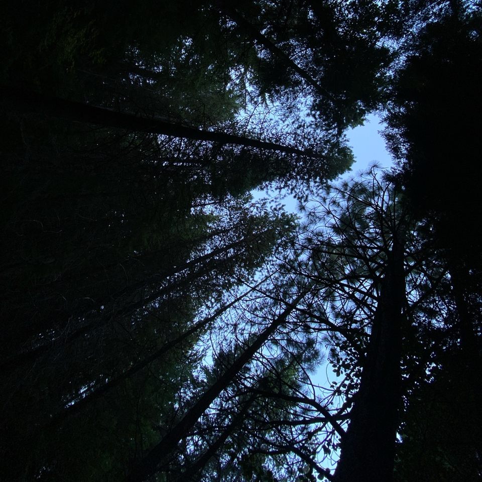 Group avatar for Vancouver WA Volleyball