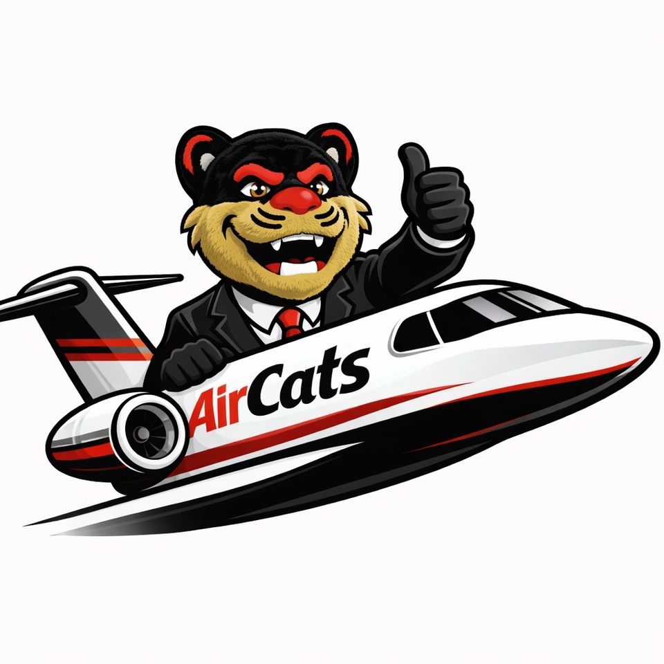 Group avatar for AirCats