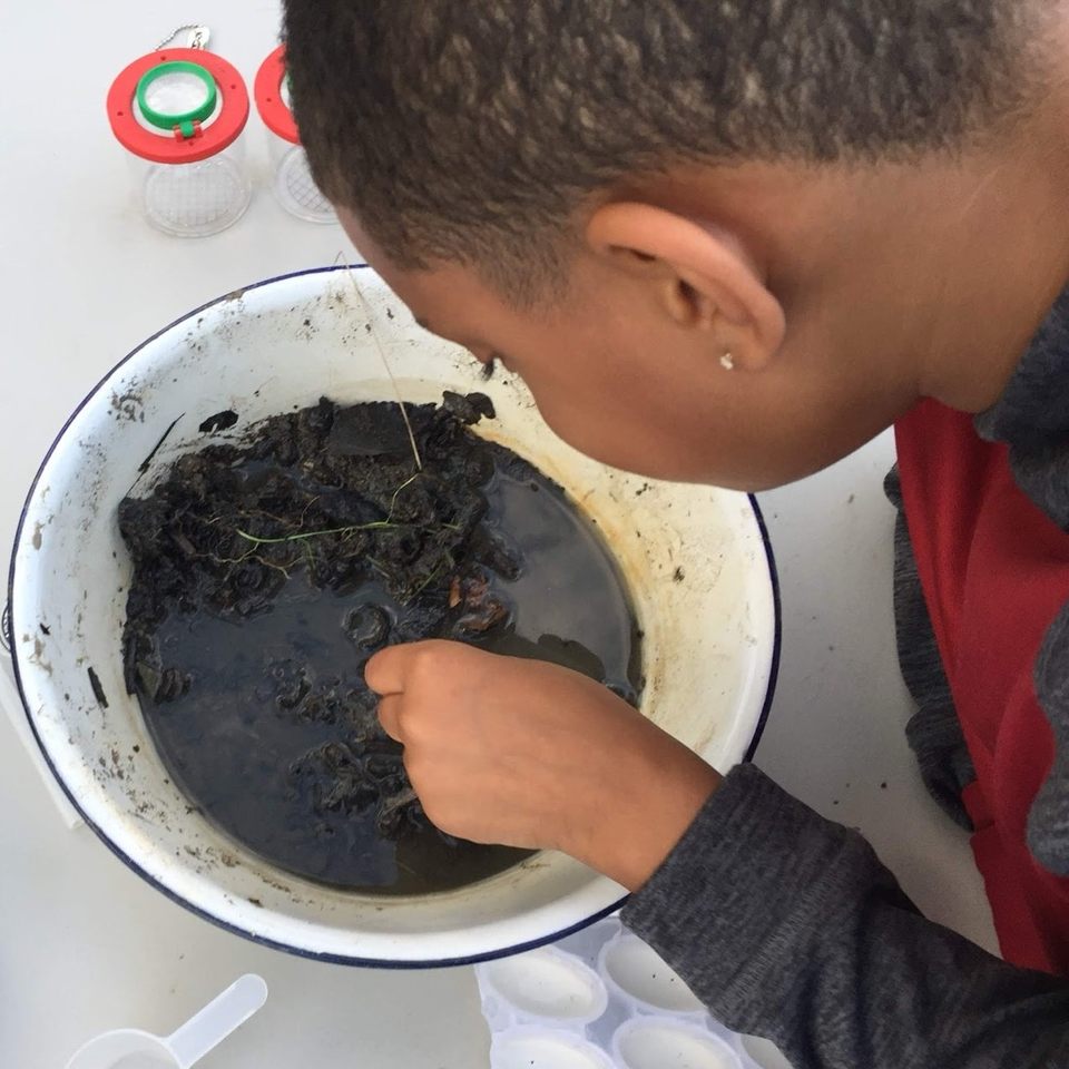 Group avatar for Tweens