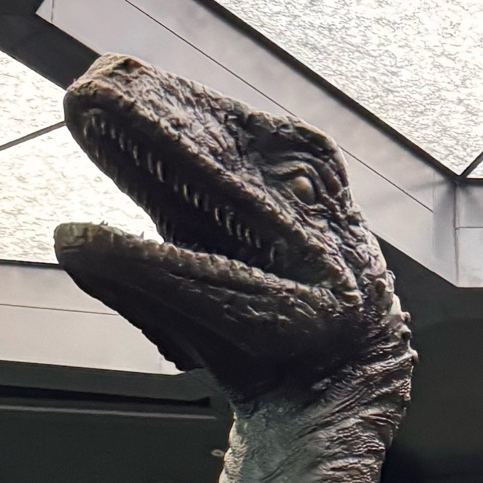 Group avatar for Seattle IRL Main Chat