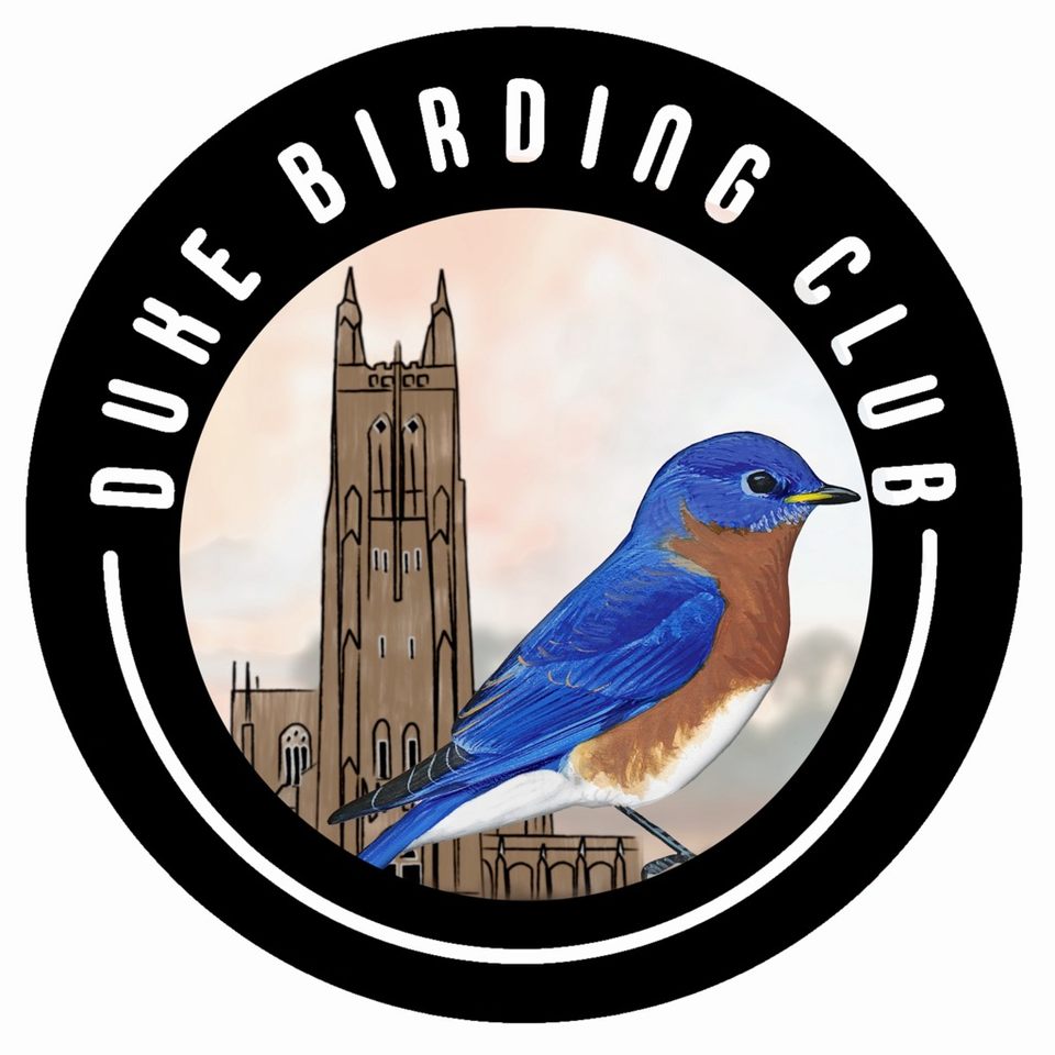 Group avatar for Duke Birding Club